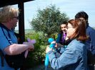 20090508-10010_nuraghe.jpg