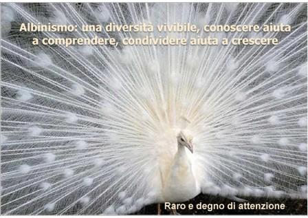 Raro e degno di attenzione - volantino divulgativo sull'albinismo