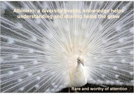 Rare and worthy of attention - informative brochure albinism
